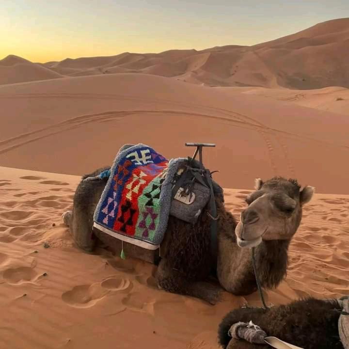 Kasbah Ait Arbi Hotel Ait Ougliff Екстериор снимка